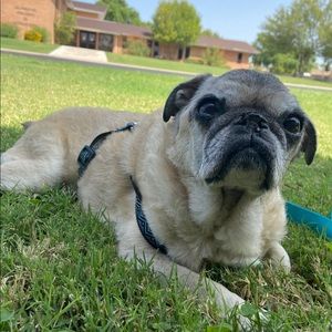 Meet your Posher, Christine